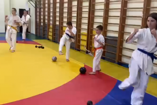Группа каратэ ДС Орлэкс 
